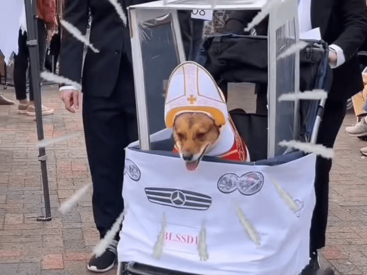 6th Annual Frederick Pet Parade Returns 10/25