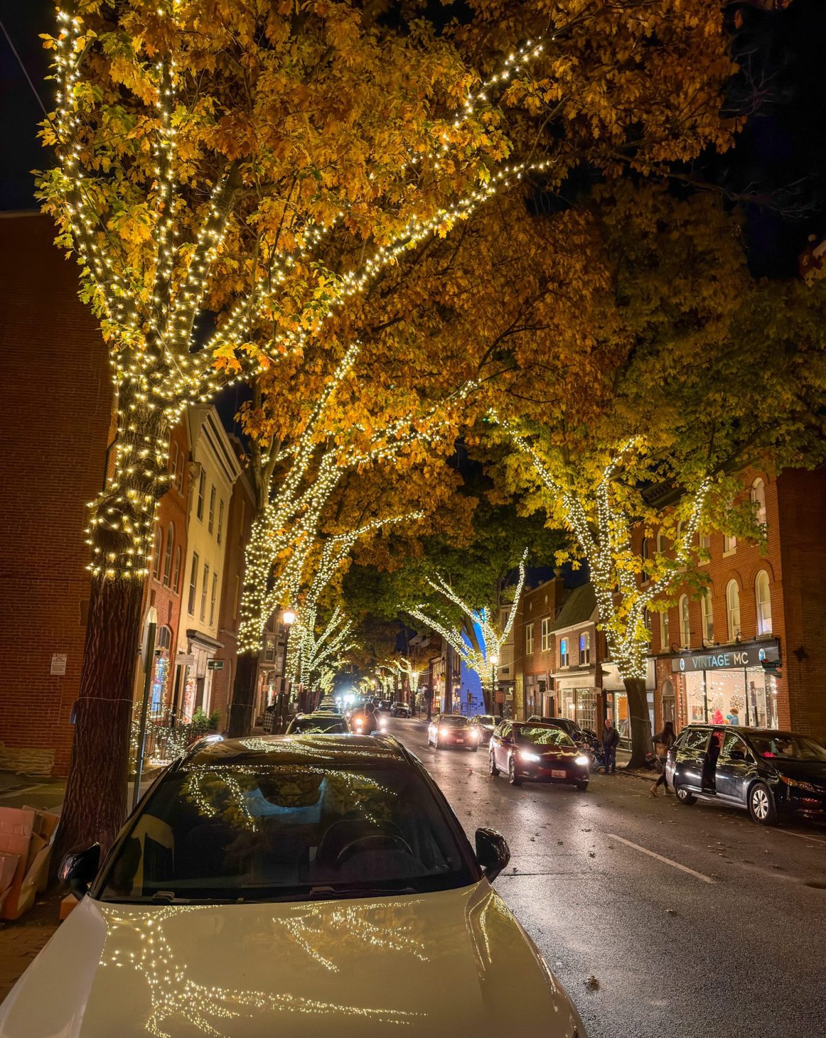 Top Things To Do This Weekend in Frederick, MD (Nov 7 – Nov 9)