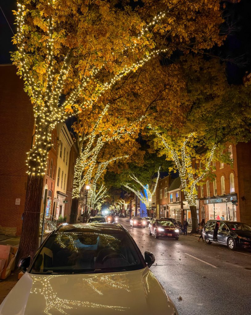 Top Things To Do This Weekend in Frederick, MD (Nov 7 – Nov 9)